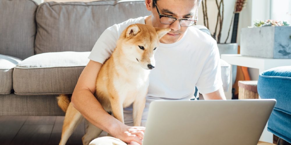Man Using Laptop With Dog